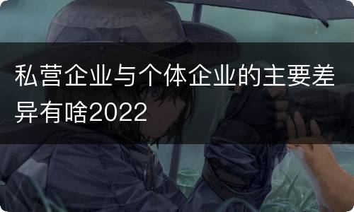 私营企业与个体企业的主要差异有啥2022