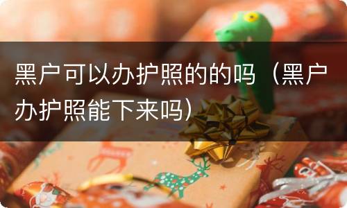 黑户可以办护照的的吗（黑户办护照能下来吗）