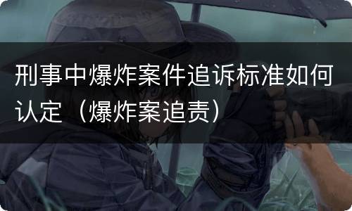 刑事中爆炸案件追诉标准如何认定（爆炸案追责）