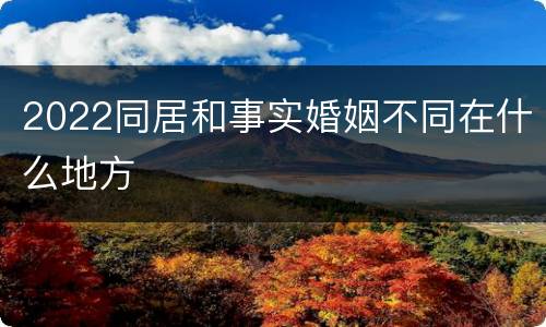 2022同居和事实婚姻不同在什么地方
