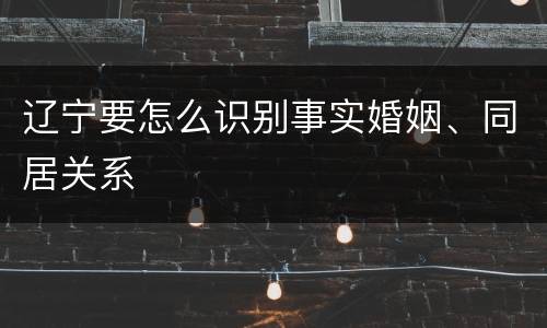 辽宁要怎么识别事实婚姻、同居关系