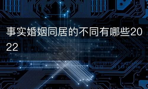 事实婚姻同居的不同有哪些2022