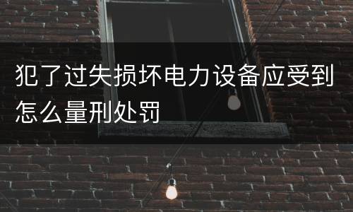 犯了过失损坏电力设备应受到怎么量刑处罚
