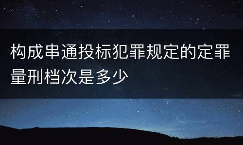 构成串通投标犯罪规定的定罪量刑档次是多少