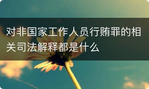 对非国家工作人员行贿罪的相关司法解释都是什么
