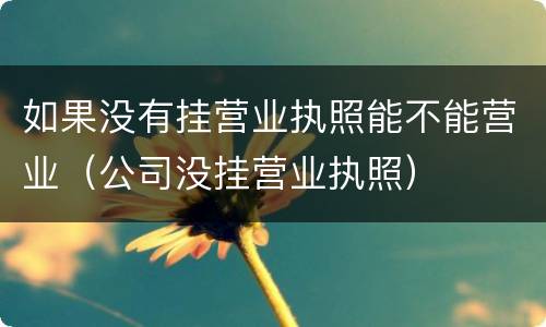 如果没有挂营业执照能不能营业（公司没挂营业执照）