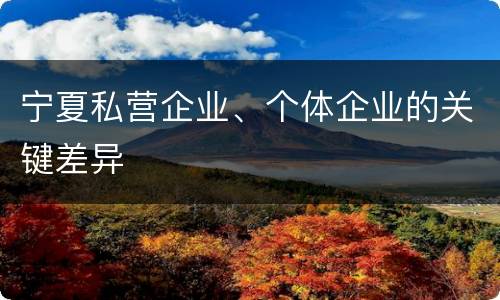 宁夏私营企业、个体企业的关键差异