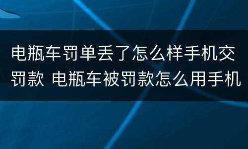电瓶车罚单丢了怎么样手机交罚款 电瓶车被罚款怎么用手机缴纳没有罚单丢了