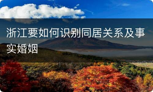 浙江要如何识别同居关系及事实婚姻