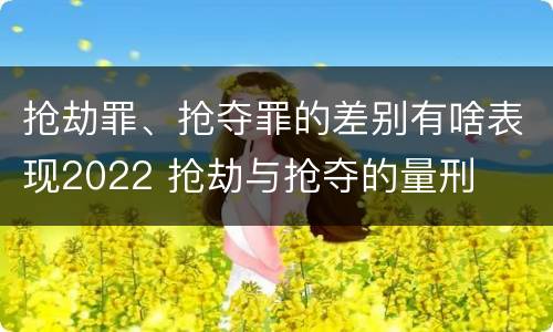 抢劫罪、抢夺罪的差别有啥表现2022 抢劫与抢夺的量刑