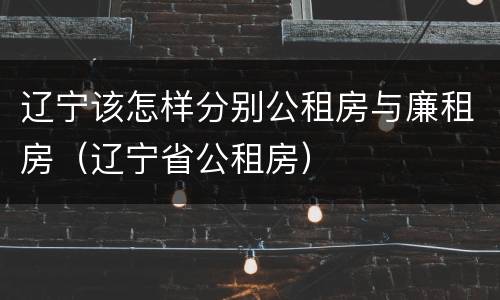 辽宁该怎样分别公租房与廉租房（辽宁省公租房）