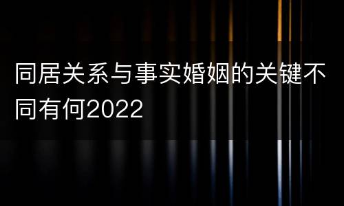 同居关系与事实婚姻的关键不同有何2022