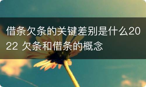 借条欠条的关键差别是什么2022 欠条和借条的概念