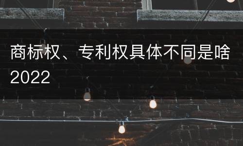 商标权、专利权具体不同是啥2022