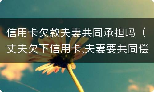 信用卡欠款夫妻共同承担吗（丈夫欠下信用卡,夫妻要共同偿还?）