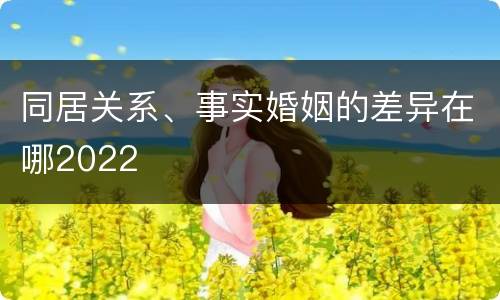同居关系、事实婚姻的差异在哪2022