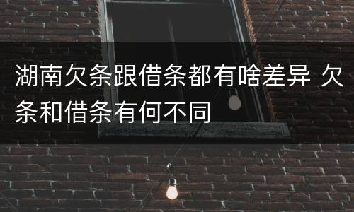 湖南欠条跟借条都有啥差异 欠条和借条有何不同