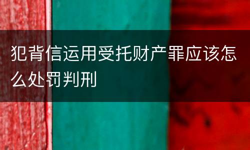 犯背信运用受托财产罪应该怎么处罚判刑