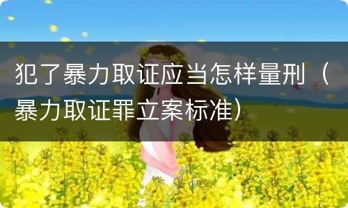 犯了暴力取证应当怎样量刑（暴力取证罪立案标准）