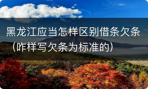 黑龙江应当怎样区别借条欠条（咋样写欠条为标准的）