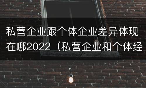 私营企业跟个体企业差异体现在哪2022（私营企业和个体经济的区别）