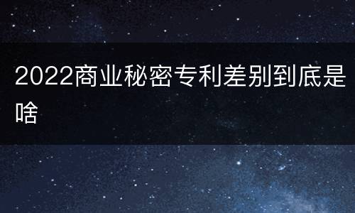 2022商业秘密专利差别到底是啥