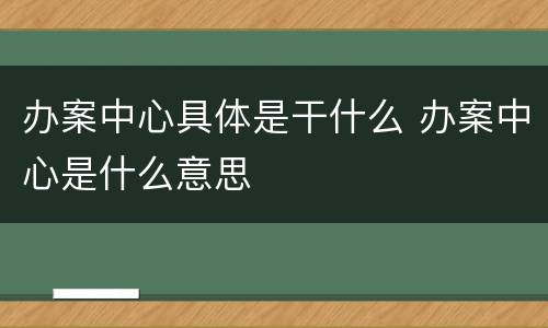 办案中心具体是干什么 办案中心是什么意思