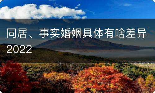 同居、事实婚姻具体有啥差异2022