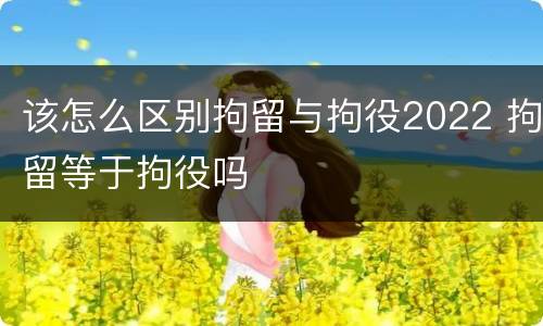 该怎么区别拘留与拘役2022 拘留等于拘役吗