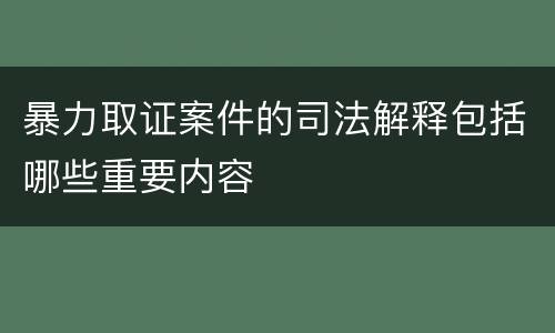 暴力取证案件的司法解释包括哪些重要内容