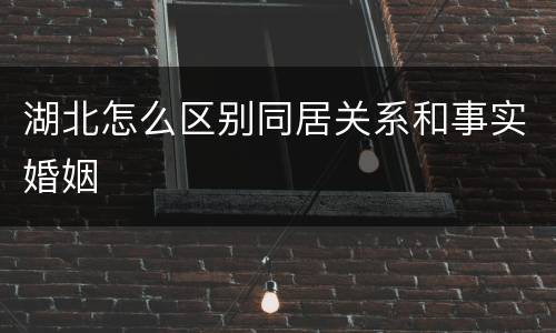 湖北怎么区别同居关系和事实婚姻