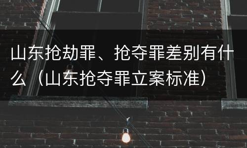 山东抢劫罪、抢夺罪差别有什么（山东抢夺罪立案标准）
