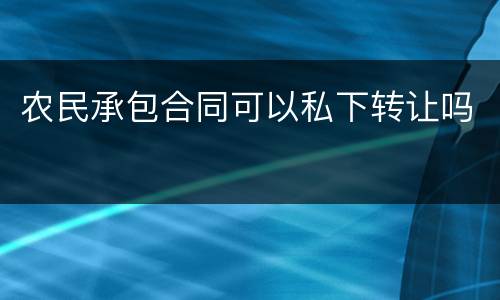 农民承包合同可以私下转让吗