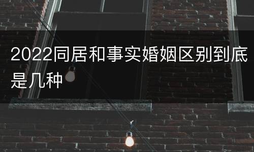 2022同居和事实婚姻区别到底是几种