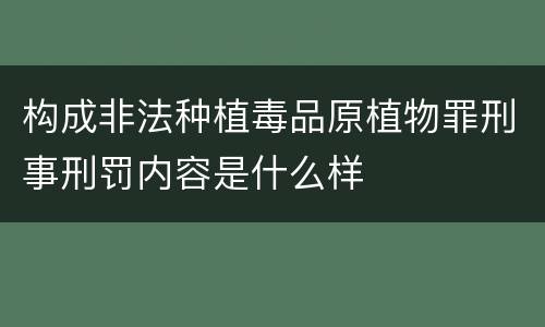 构成非法种植毒品原植物罪刑事刑罚内容是什么样