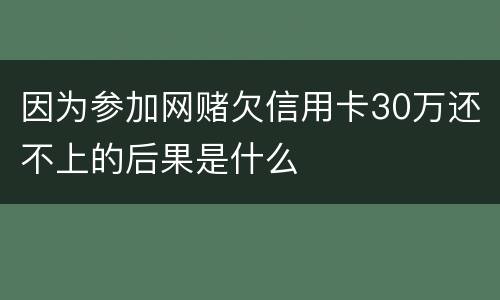 因为参加网赌欠信用卡30万还不上的后果是什么