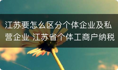 江苏要怎么区分个体企业及私营企业 江苏省个体工商户纳税标准规定