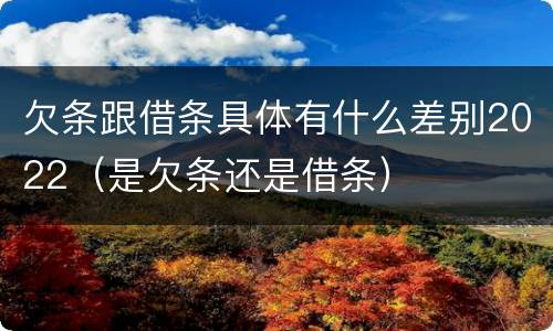 欠条跟借条具体有什么差别2022（是欠条还是借条）