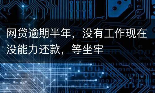 网贷逾期半年，没有工作现在没能力还款，等坐牢