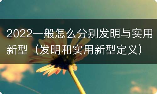 2022一般怎么分别发明与实用新型（发明和实用新型定义）