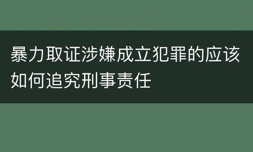 暴力取证涉嫌成立犯罪的应该如何追究刑事责任
