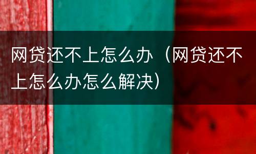 网贷还不上怎么办（网贷还不上怎么办怎么解决）