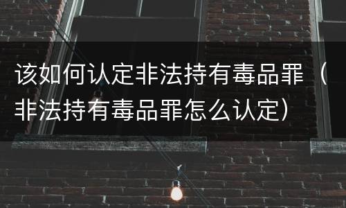 该如何认定非法持有毒品罪（非法持有毒品罪怎么认定）