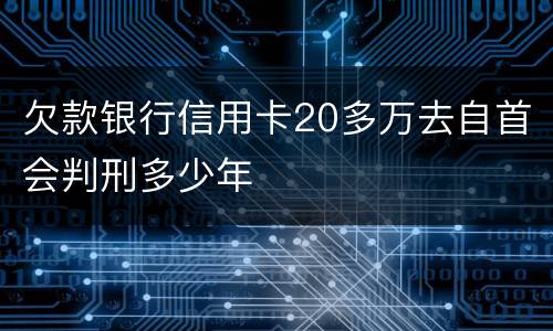 欠款银行信用卡20多万去自首会判刑多少年