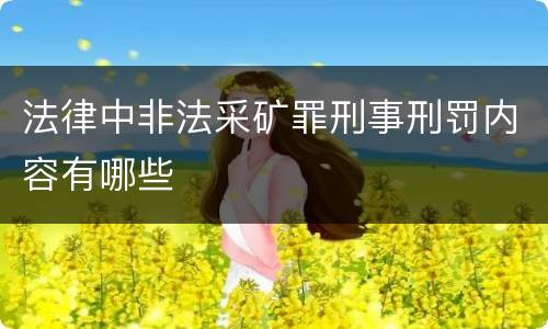 法律中非法采矿罪刑事刑罚内容有哪些