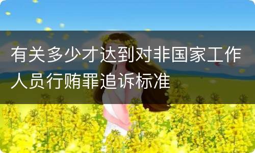 有关多少才达到对非国家工作人员行贿罪追诉标准