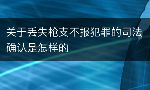 关于丢失枪支不报犯罪的司法确认是怎样的