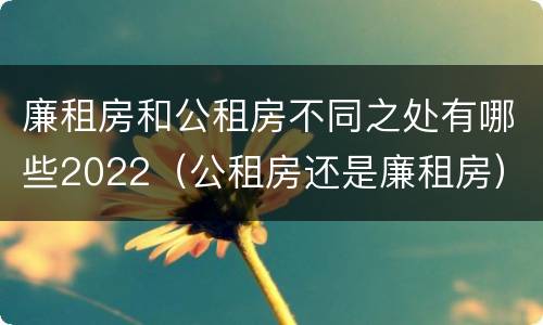 廉租房和公租房不同之处有哪些2022（公租房还是廉租房）