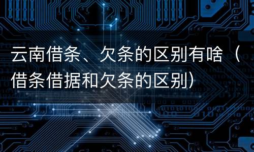 云南借条、欠条的区别有啥（借条借据和欠条的区别）