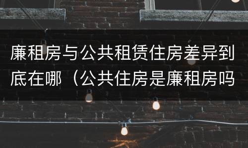 廉租房与公共租赁住房差异到底在哪（公共住房是廉租房吗）